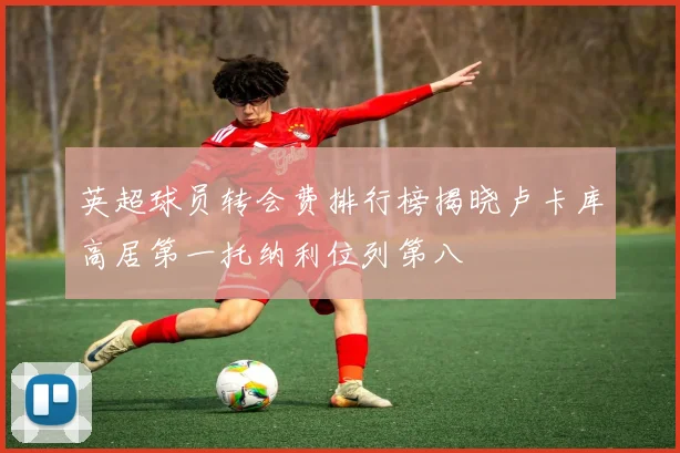 英超球员转会费排行榜揭晓卢卡库高居第一托纳利位列第八
